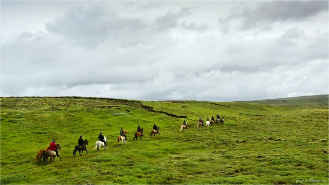 Sortie equestre, Islande 2016 © Jacques Charpentier